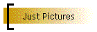 Just Pictures